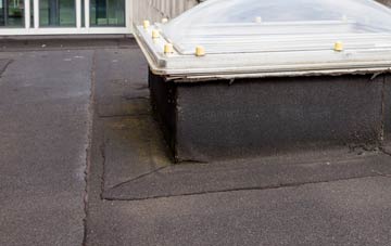 disadvantages of Milton Common flat roofs