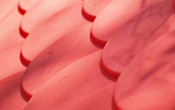 Milton Common plastic roof costs